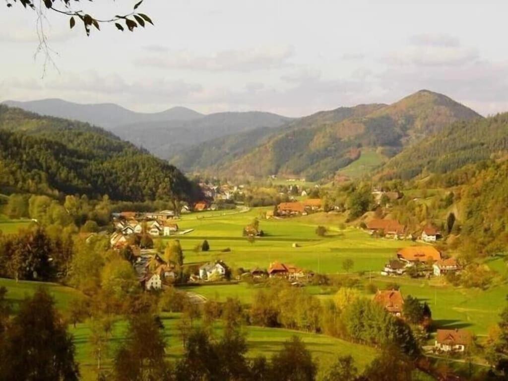 Oberbauernhof - Wohnung "Am Garten" -- Moderne Fewo Im Schoenen Schwarzwaldhaus Gutach Buitenkant foto