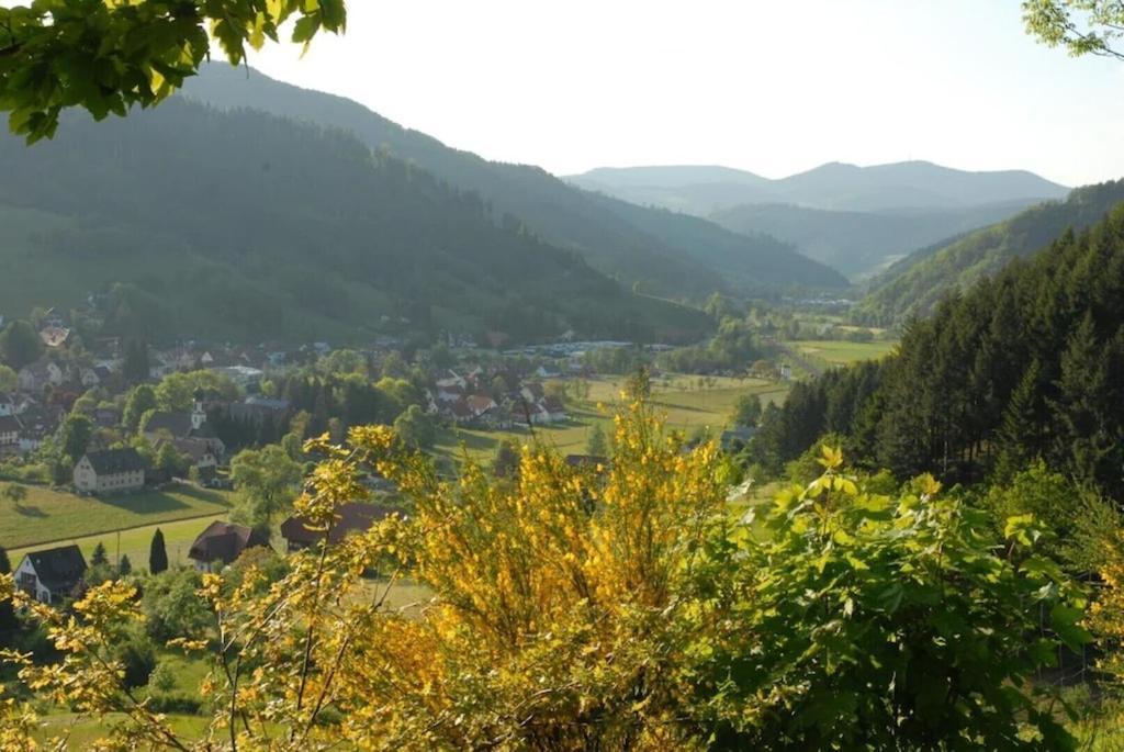 Oberbauernhof - Wohnung "Am Garten" -- Moderne Fewo Im Schoenen Schwarzwaldhaus Gutach Buitenkant foto