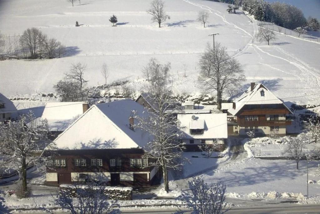 Oberbauernhof - Wohnung "Am Garten" -- Moderne Fewo Im Schoenen Schwarzwaldhaus Gutach Buitenkant foto