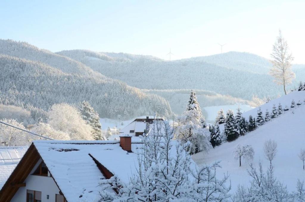 Oberbauernhof - Wohnung "Am Garten" -- Moderne Fewo Im Schoenen Schwarzwaldhaus Gutach Buitenkant foto